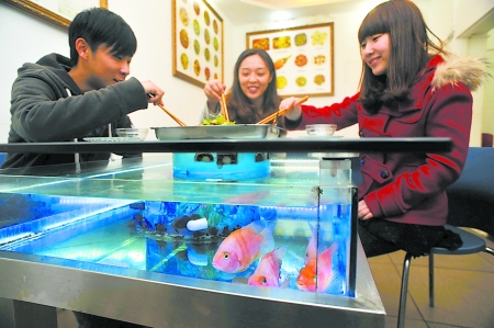老公在饭桌吃饭男在桌底舔餐桌之下的秘密——老公桌底之吻