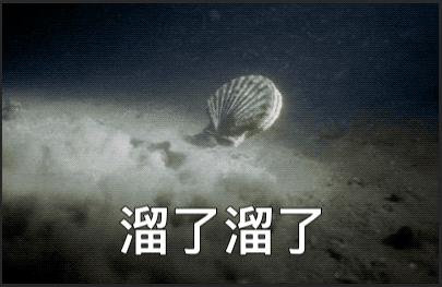 快点让我吃饭快让我吃一下你的小扇贝——网络流行语背后的含义与解读-第2张图片