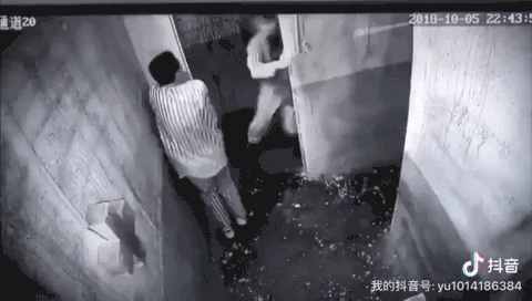东京热是什么歌揭秘东京热，一种独特的文化现象