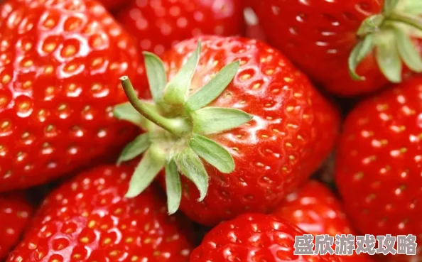 草莓视频app黄下载安装草莓视频APP下载安装指南
