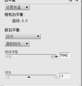 一级二级调色大片的区别关于二级片的探讨，内容、影响与应对策略-第2张图片