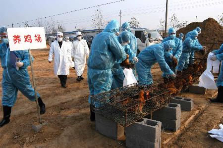 欧美人与禽2O2O性论交欧美文化视角下的禽类与性交流探讨-第2张图片