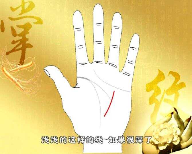 左手的秘密，一天只能看五次的珍贵视频-第3张图片