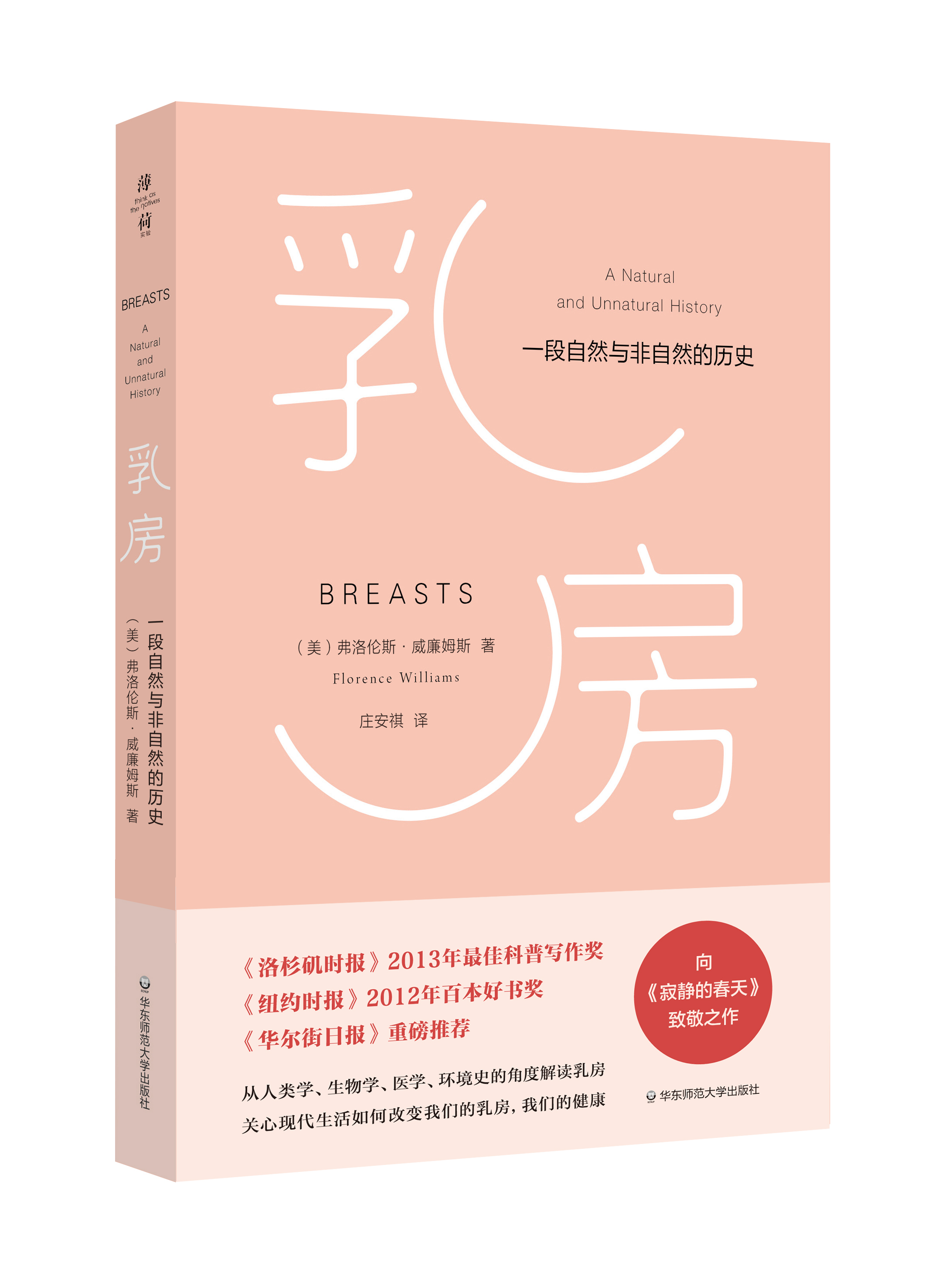 黄p片关于黄p片的探讨与思考-第2张图片