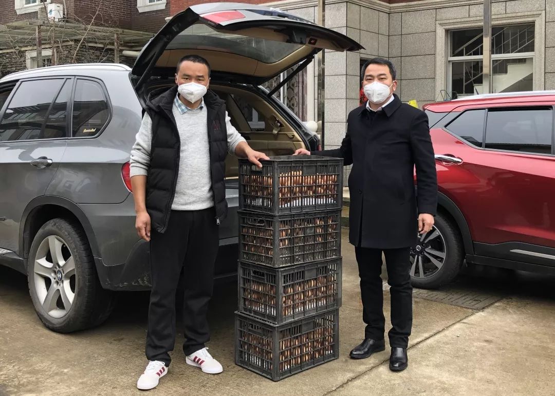 探索狼群社区，中文第一社区的魅力与特色-第3张图片
