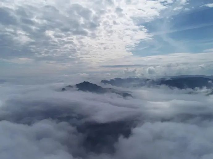 探索Juesewu的魅力与价值-第3张图片
