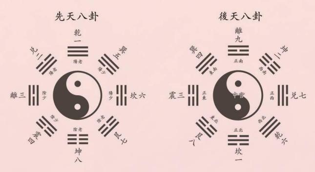 中日乱码卡一卡二仙踪林，文化交流的神秘符号-第2张图片