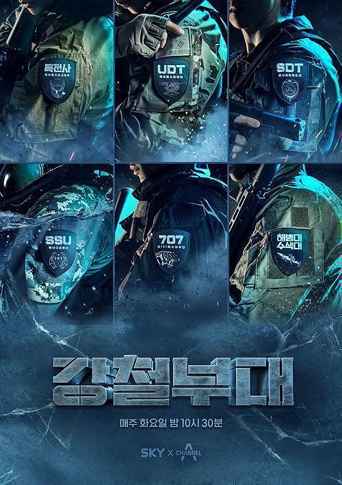 美国ZOOM动物3D美国ZOOM动物3D，探索虚拟世界中的动物王国