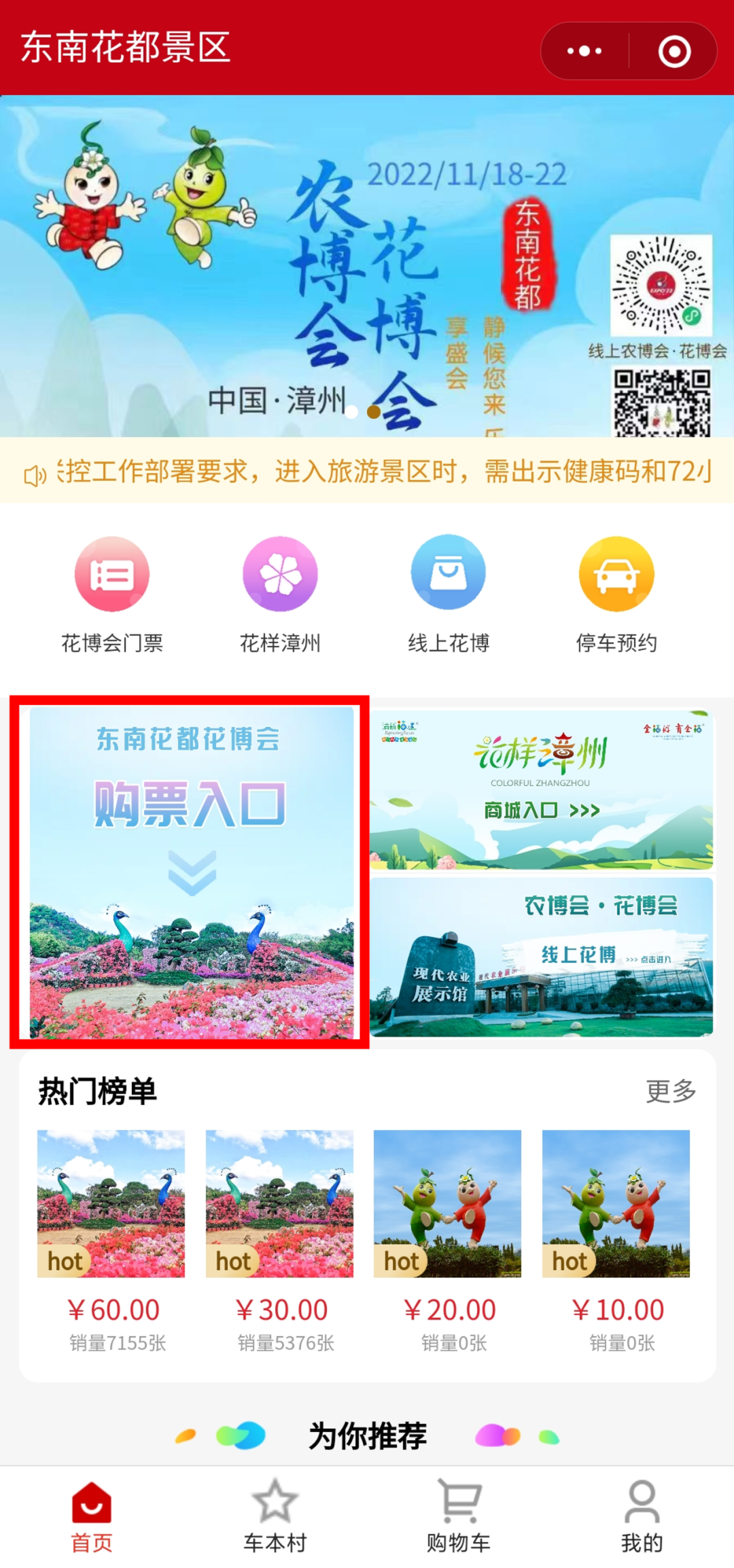网络电视成人台，内容、影响与规范