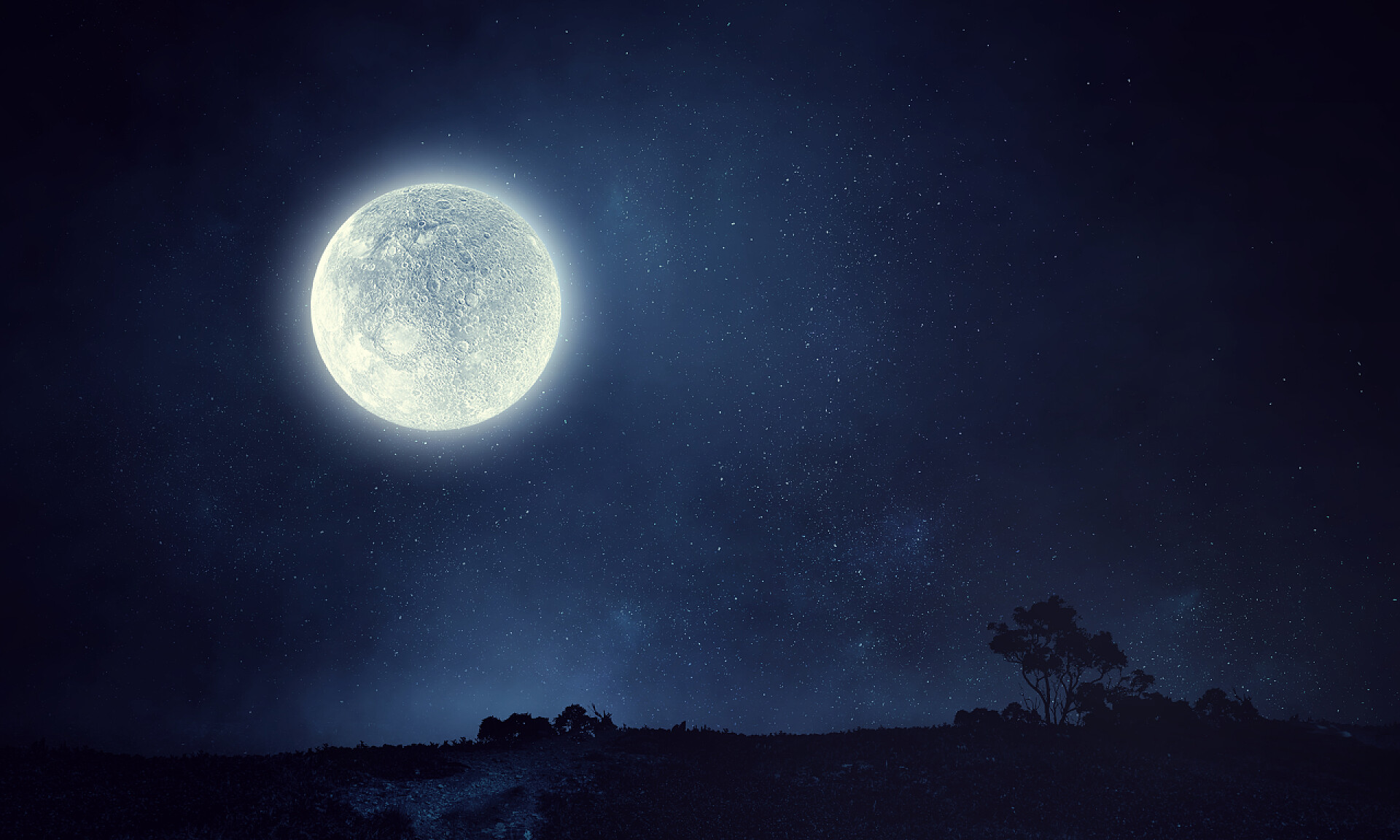 夜月直播app免费版下载，探索夜间月光的奇妙世界
