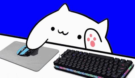 与键盘共舞的神秘精灵——键盘猫