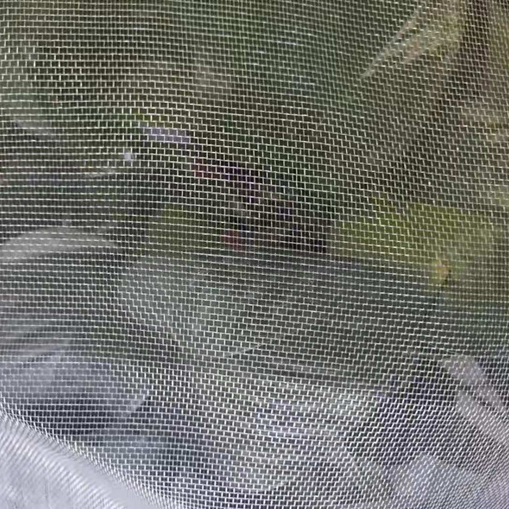 黑瓜吃料网入口，探索网络资源的新途径