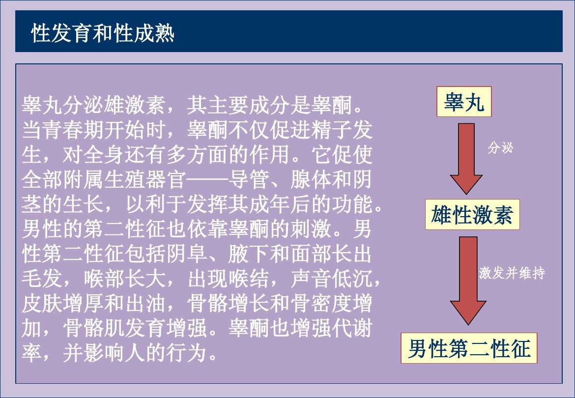 刑讯室睾丸挂重物刑讯室中的阴影，睾丸的秘密-第1张图片