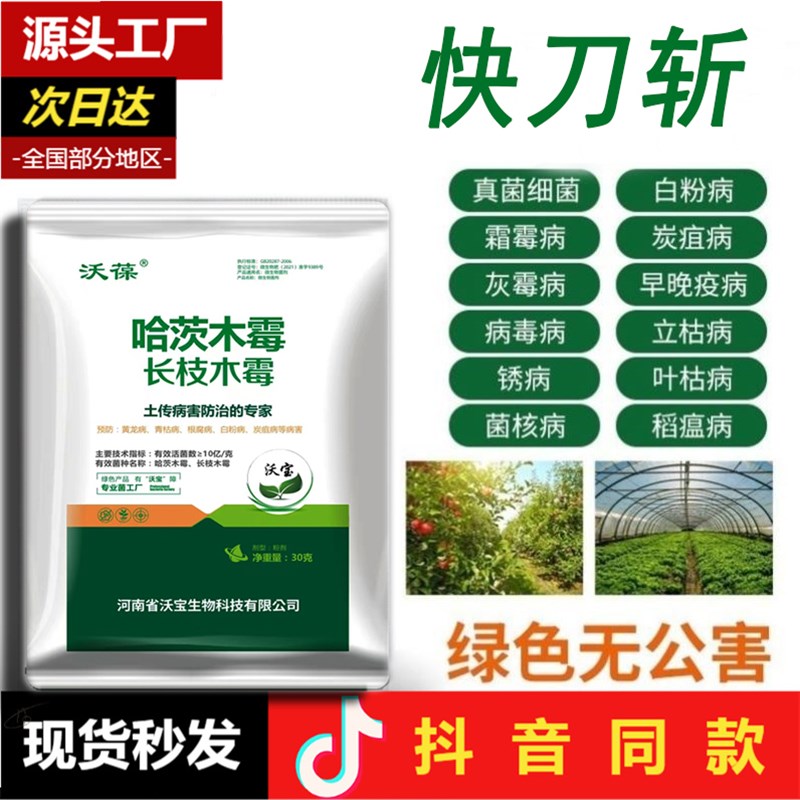 一刀插件51cqg一刀插件51cqg，高效工具的探索与使用