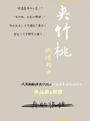 当书网手机版TXT电子书下载当书网手机版，便捷的TXT电子书下载新体验