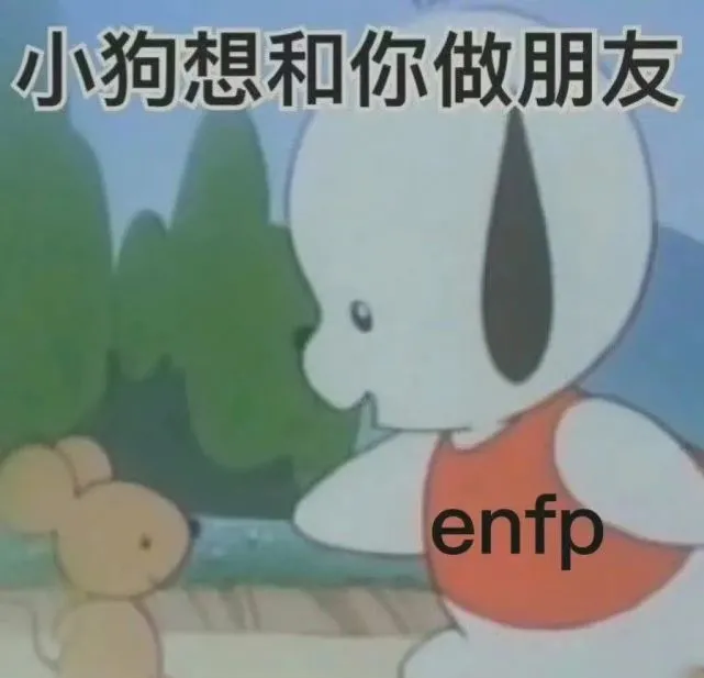 宠物风暴宠物风暴，现代生活中的爱与陪伴
