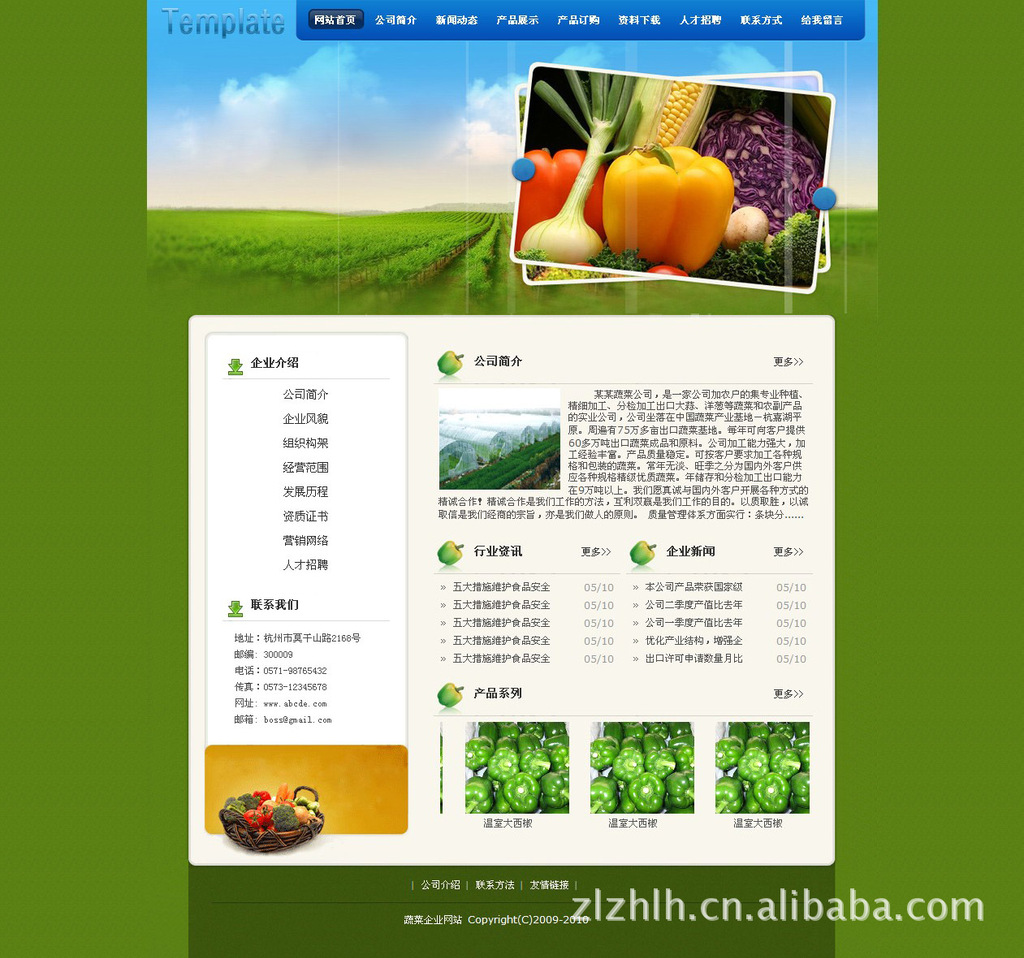 个性化网站设计个性化网站，塑造独特体验的未来趋势