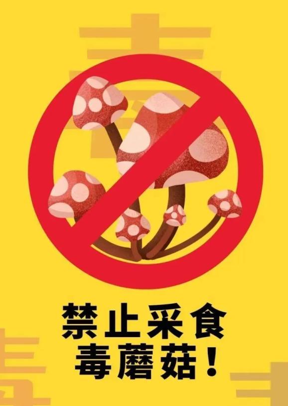 毒蘑菇测试官网，保护生命，从识别开始-第3张图片