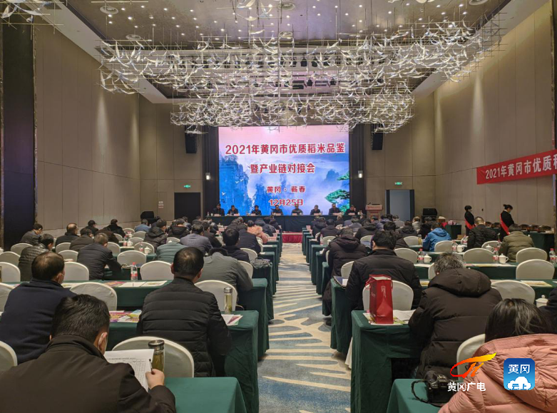 十大黄冈网站排行榜十大黄冈网站排行榜-第2张图片