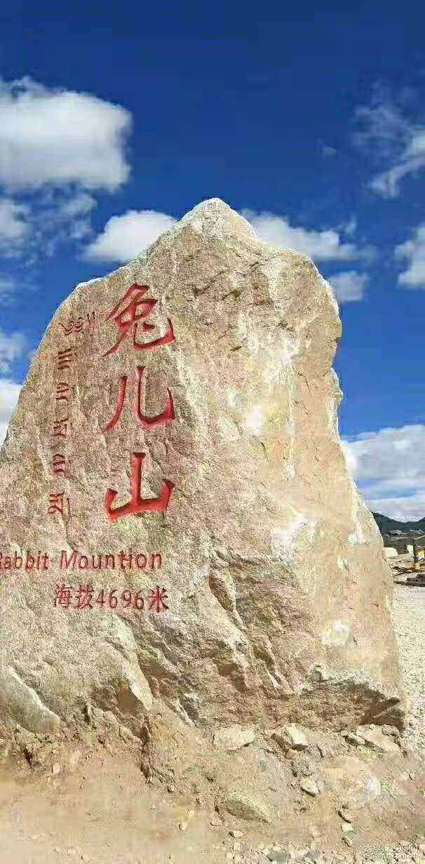 无人区码一码二码三码在线无人区码一码二码三码在线的探索之旅