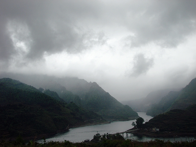 雨后之景，几天不见，为何如此湿润