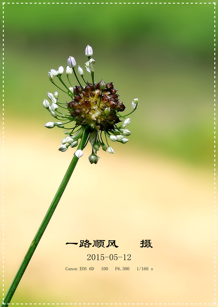 野花社区登录入口野花社区在线视频资源探索-第2张图片
