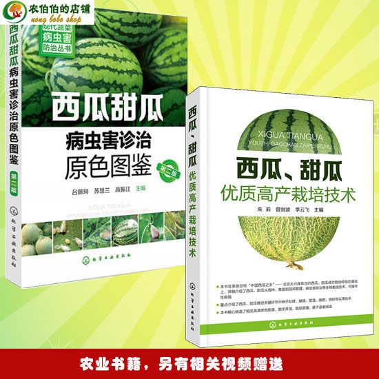西瓜视频电视版官方版西瓜视频正版官方——打造优质内容观看体验-第2张图片
