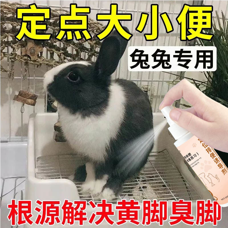 如何以正确的方式诱导对象品尝你的小兔兔