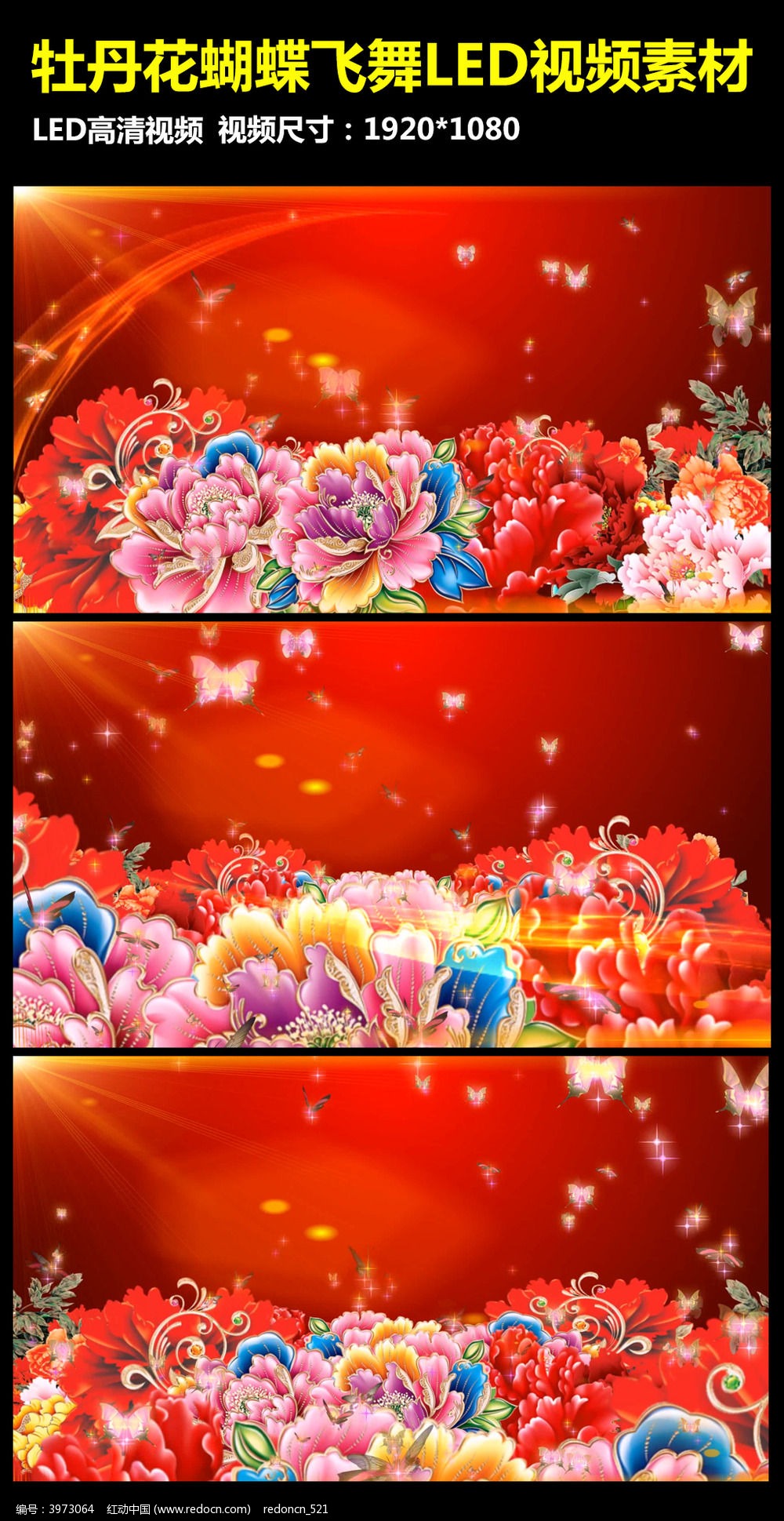 蝴蝶传媒高清视频，视觉盛宴的全新体验