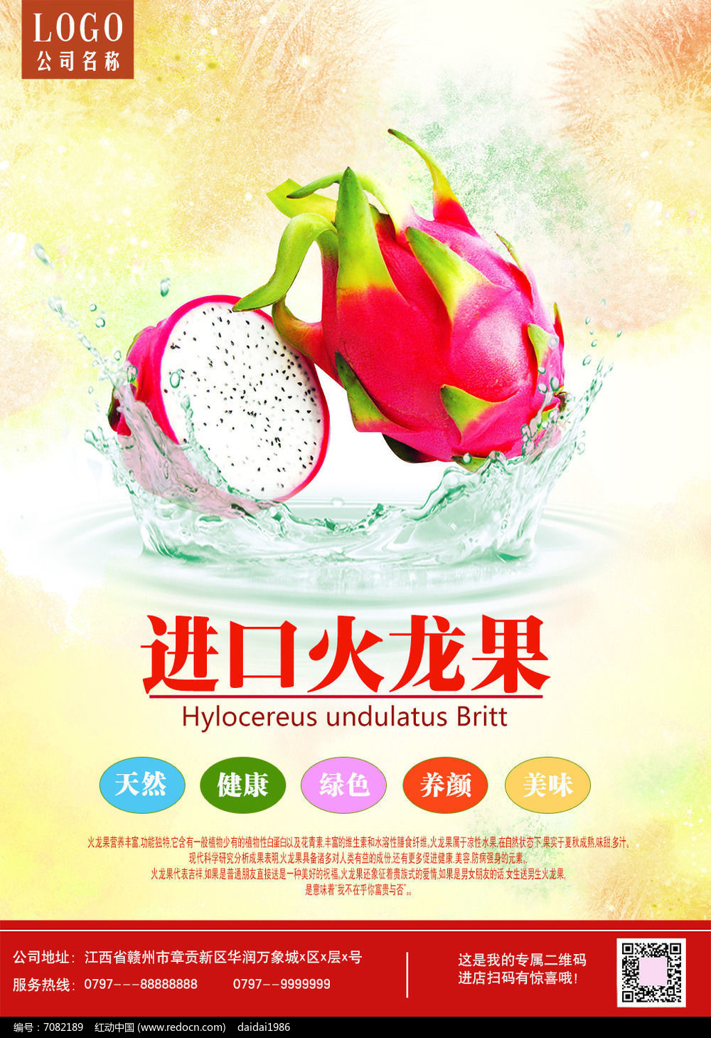 成品网站W灬源码火龙果，探索其功能与价值-第3张图片