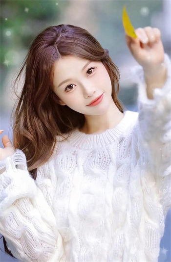 PALIPALI永久地址:PALI.LOVE探索PALIPALI的奇妙世界，永久地址PALI.LOVE的魅力之旅