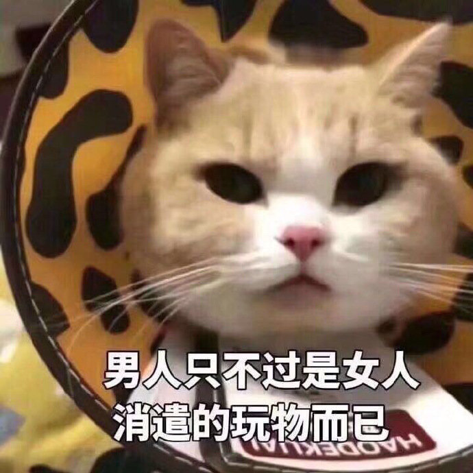 女人没开过包啥样大荫蒂毛毛的美丽与神秘-第2张图片