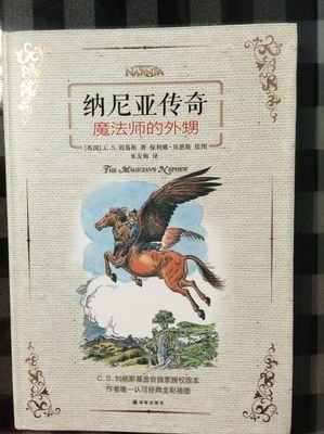 大法师瓦格斯，传奇的魔法之旅-第2张图片