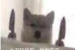 插屁眼插屁眼，一个需要谨慎对待的医学话题