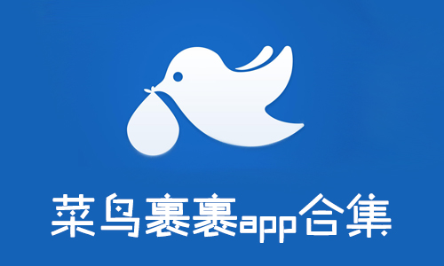 菜鸟app免费下载菜鸟app，从新手到专家的成长之路