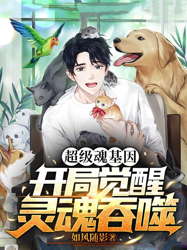 房奴试爱HD播放房奴的试爱之旅，HD播放的现代生活探索-第2张图片