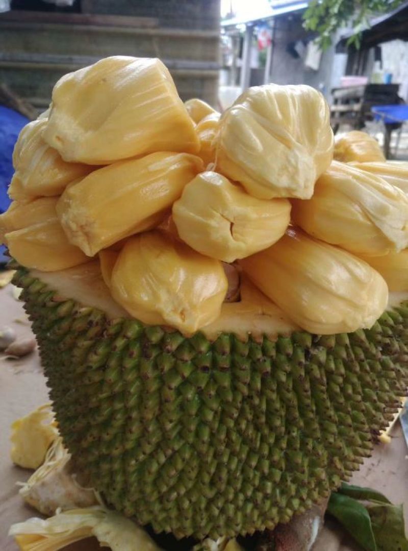 菠萝蜜在线观看视频高清5菠萝蜜在线观看高清视频体验-第1张图片