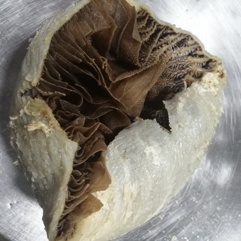 毛肚是什么部位牛百叶，了解牛的这一独特部位-第2张图片
