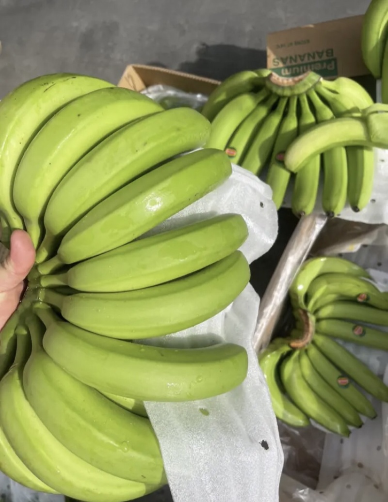 精品香蕉在线观看视频，探索与体验-第3张图片