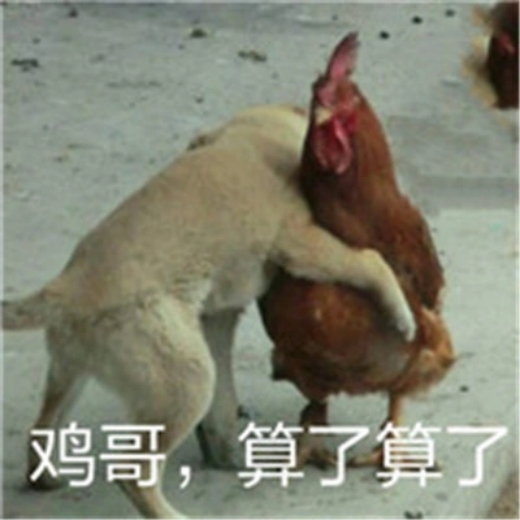 男生遭遇网络暴力，女生玩鸡视频的背后-第2张图片