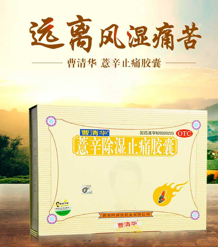 龙福地龙胶囊的功效与作用龙祸，古老传说与现代启示-第3张图片