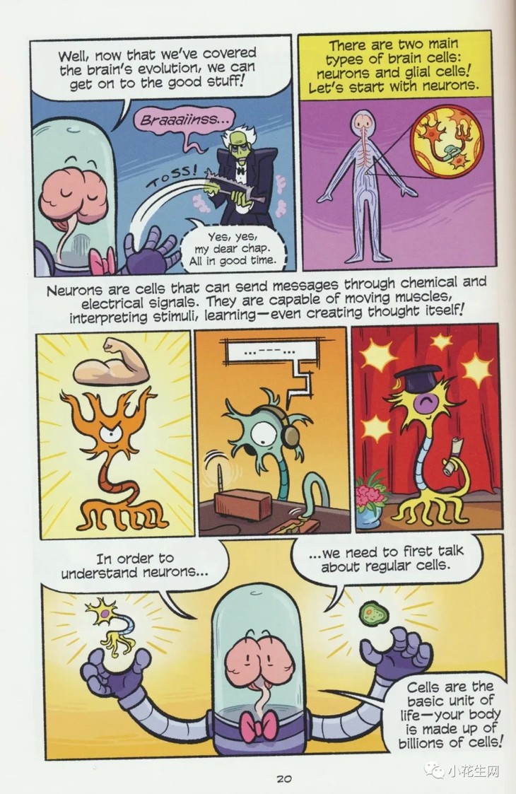 探索教育漫画中的趣味世界——以老师的奶好大下面好紧为例-第1张图片