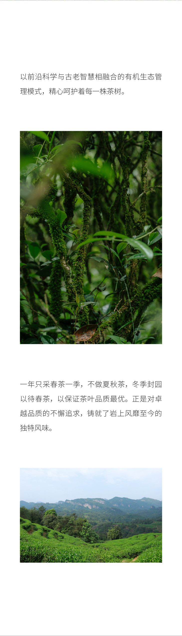 水帘洞探险之旅，肉桂水蜜桃的神秘传说与K8的独特体验-第2张图片