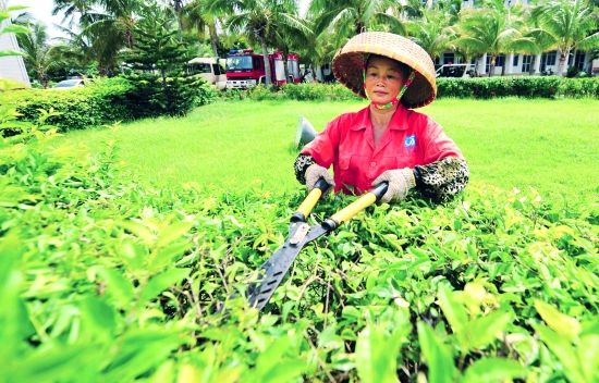 夫妻 幸福家园携手共筑幸福家园——夫妻交友的美丽篇章