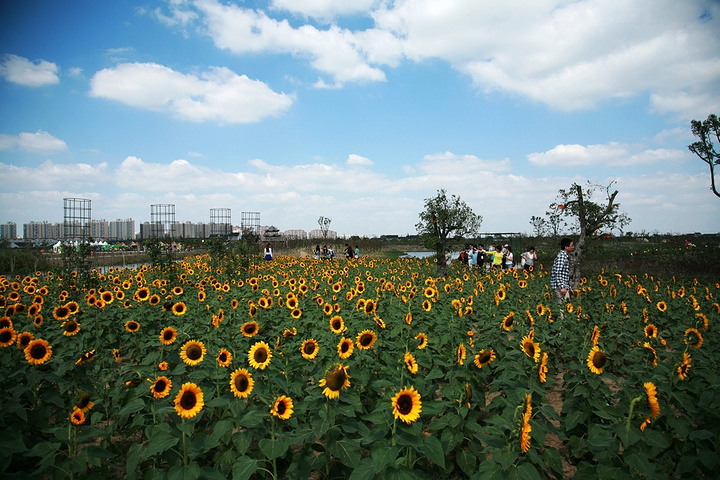 亚洲爱情岛论坛免费线路一探索亚洲爱情岛论坛，免费线路的魅力之旅