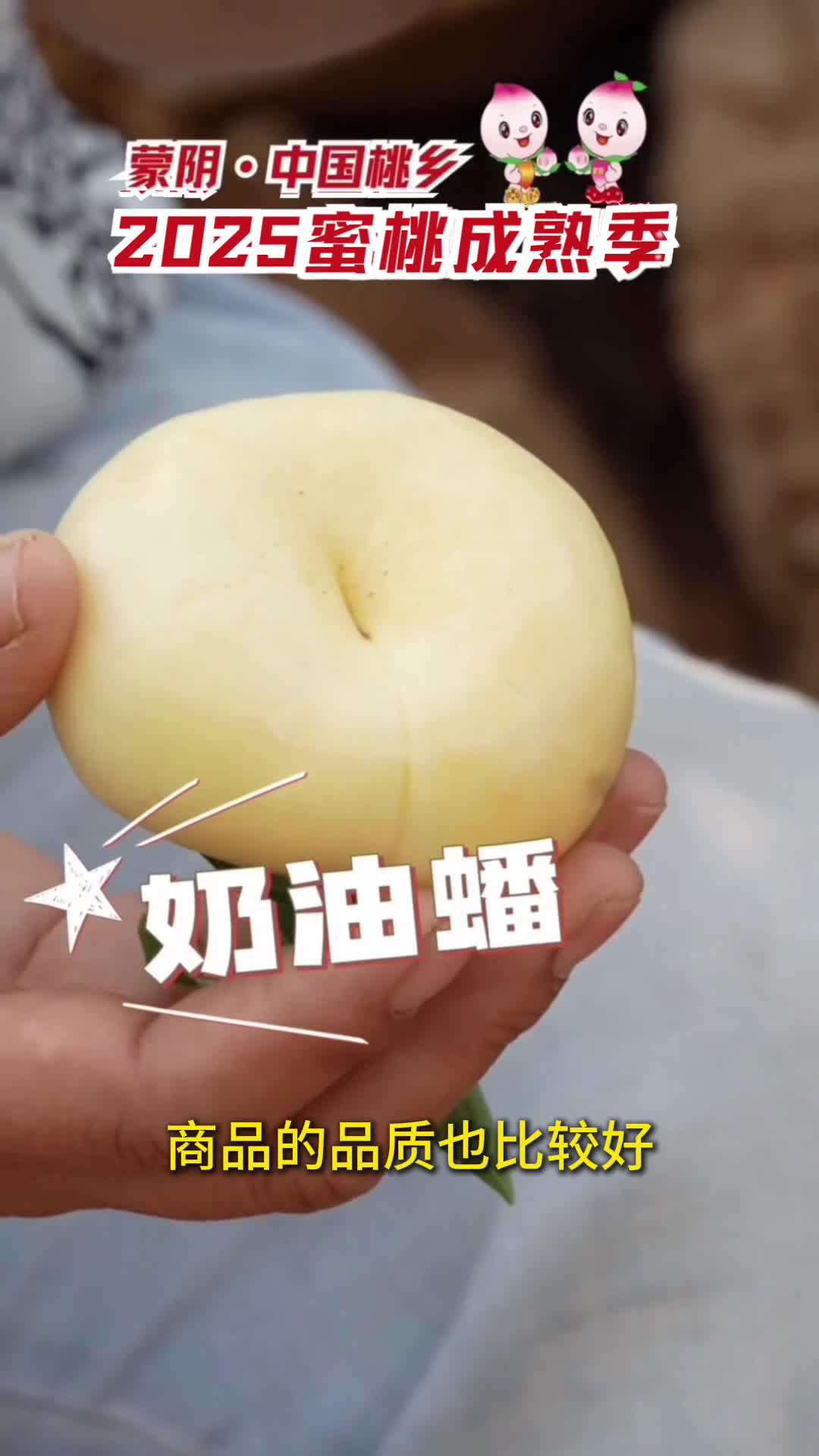 蜜桃成熟3d桃色下载，探索数字时代的情感与娱乐-第3张图片