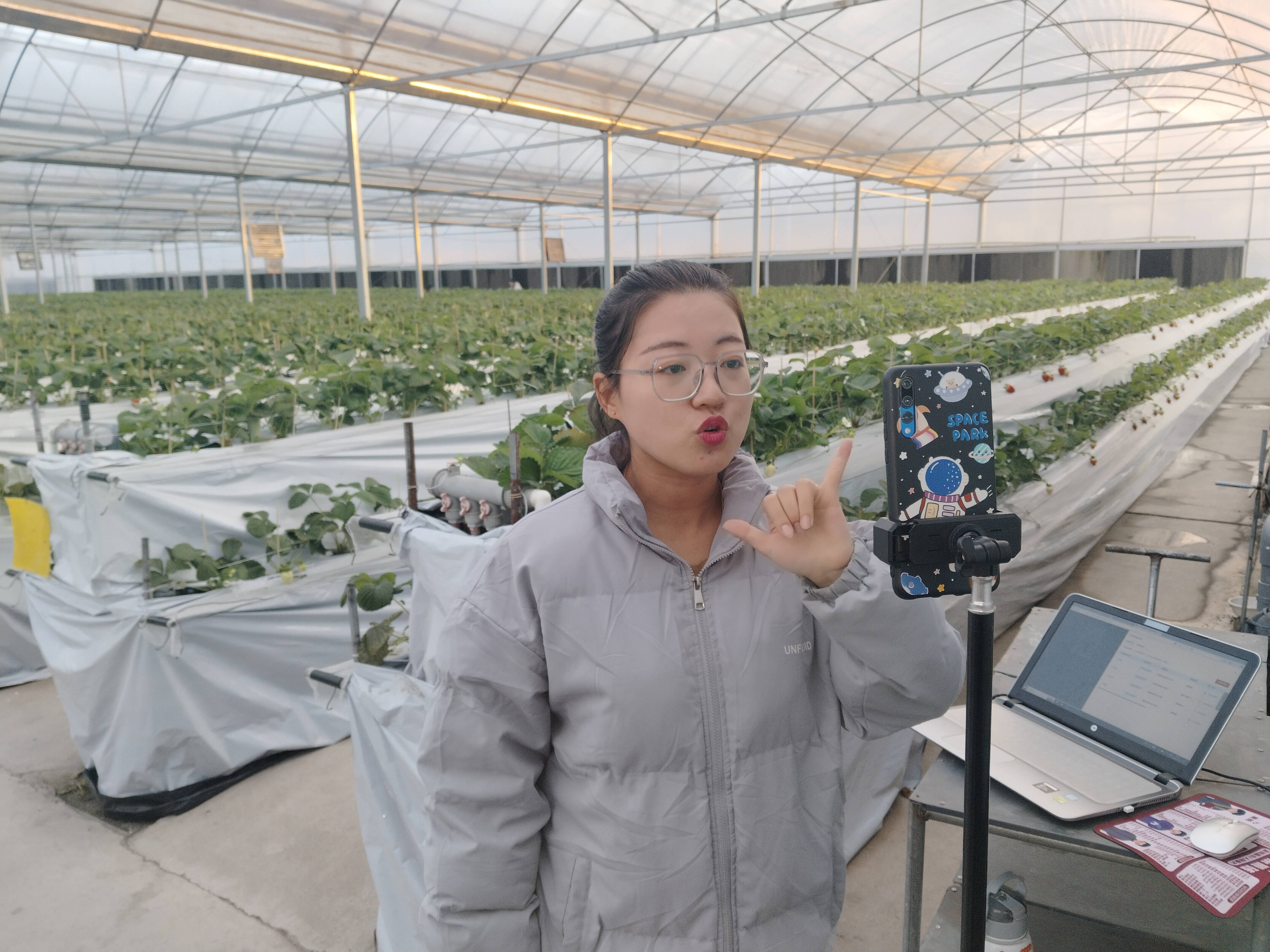 草莓APP直播免费 视频草莓APP直播免费视频，探索无限乐趣的数字世界-第2张图片