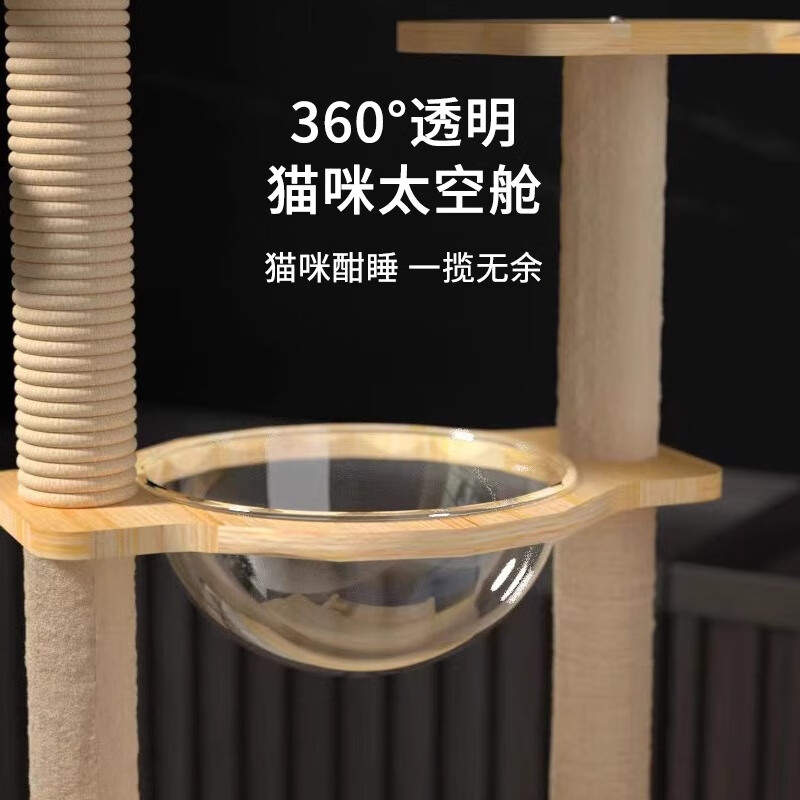 跳D放在里面走路感受描述跳D的独特体验，行走中的内部感受-第3张图片