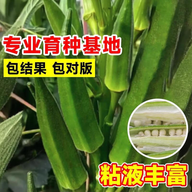 秋葵草莓丝瓜黄瓜榴莲大全污污秋葵草莓丝瓜黄瓜榴莲的奇妙世界——健康食材与美食探索