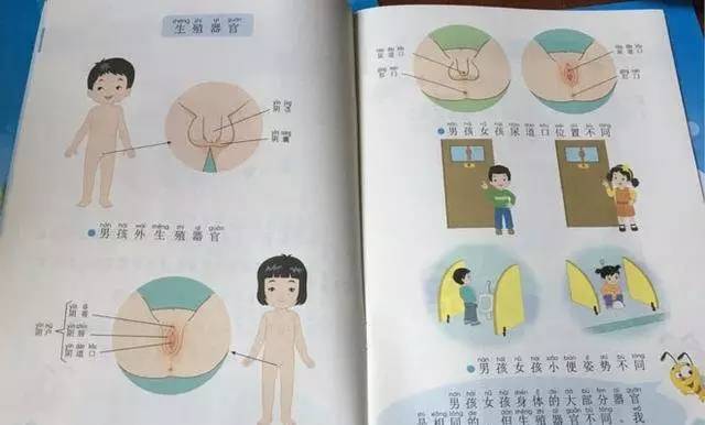 性知识网，构建健康性教育的桥梁